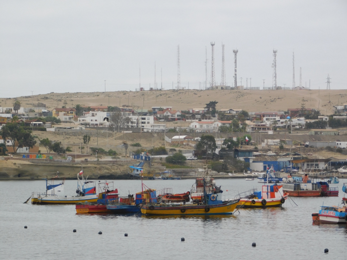 Mi puerto querido 1