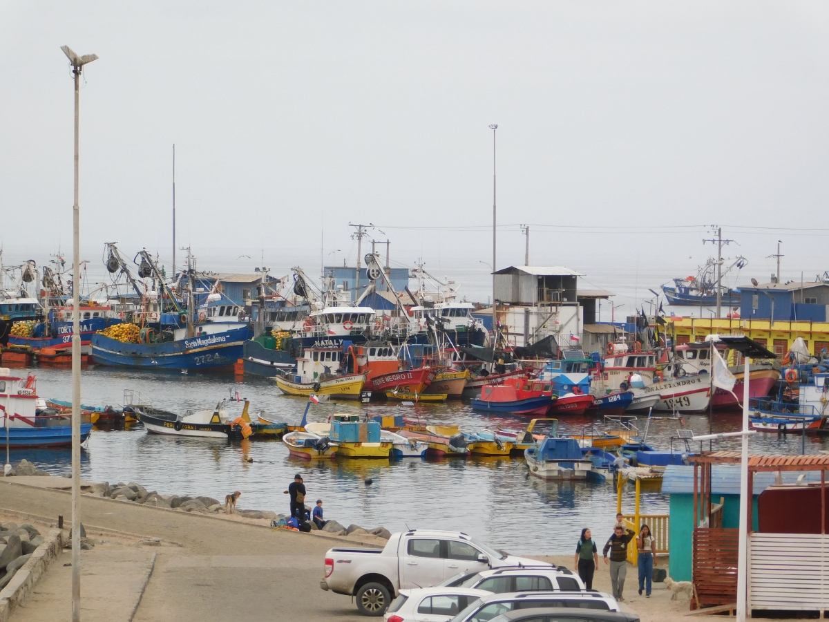 Mi puerto querido 3