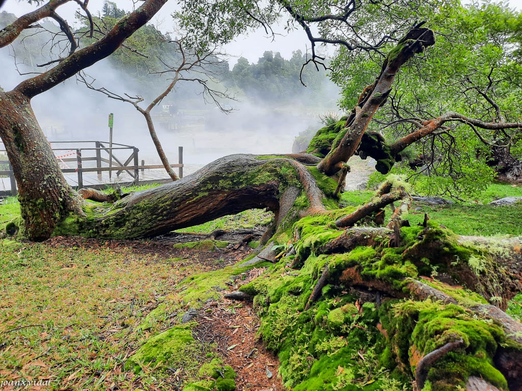 CALDEIRAS DAS FURNAS