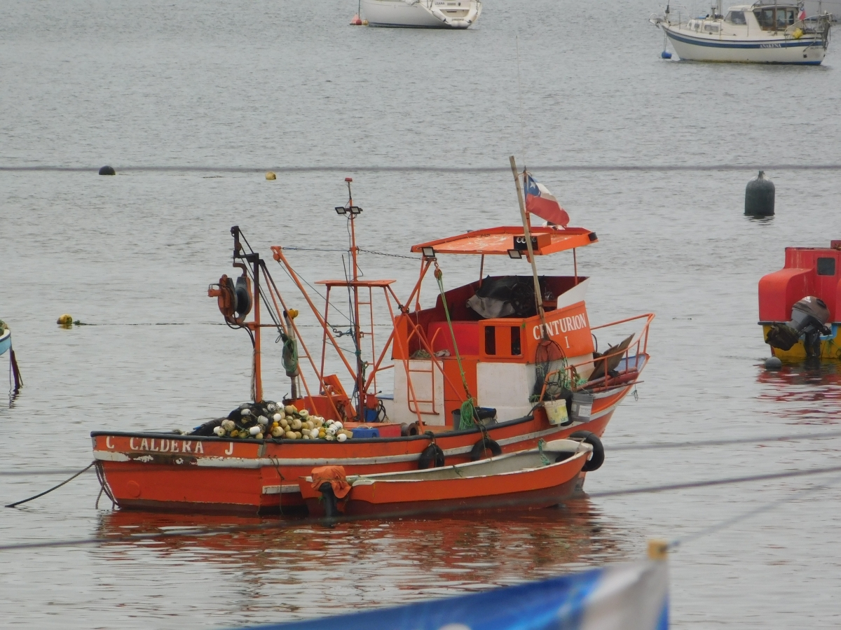 Mi puerto querido 