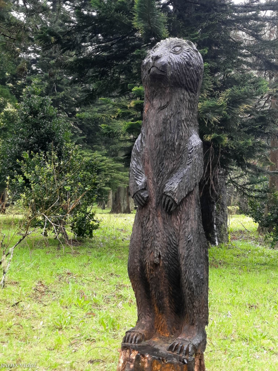 bosque de la lagoa das furnas