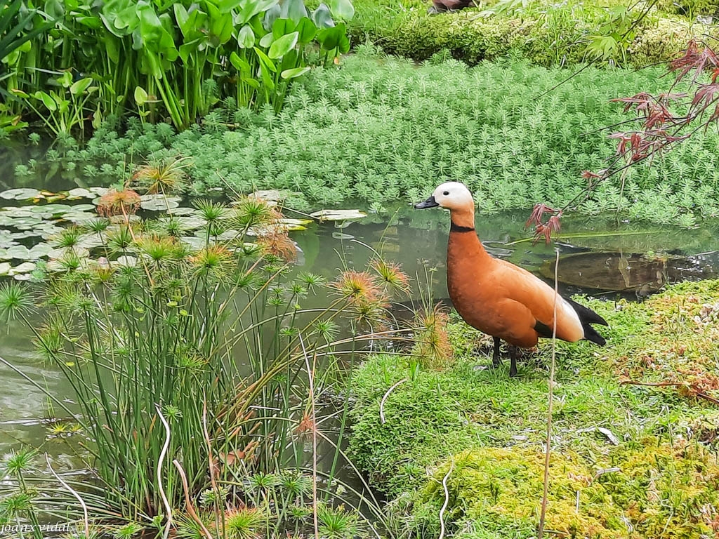 PARC BOTNIC TERRA NOSTRA