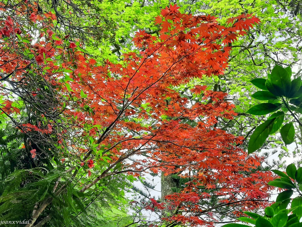 PARC BOTNIC TERRA NOSTRA