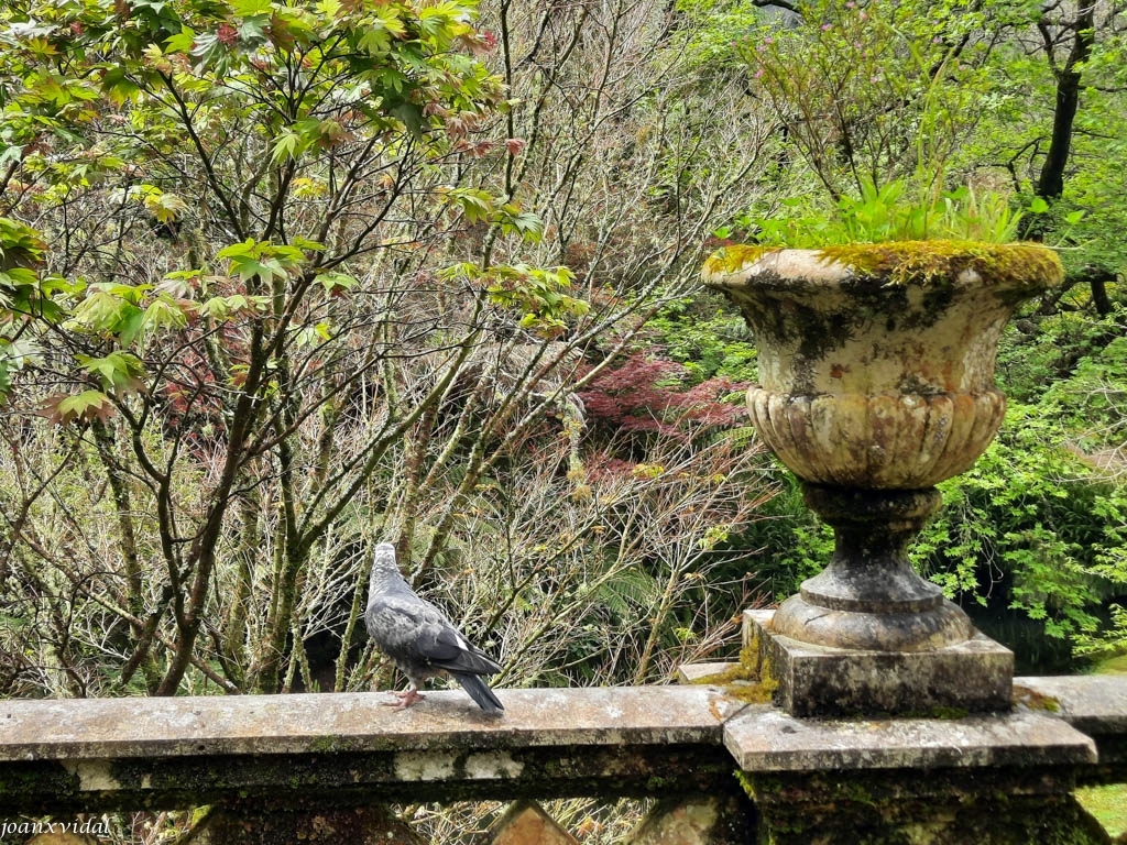 PARC BOTNIC TERRA NOSTRA