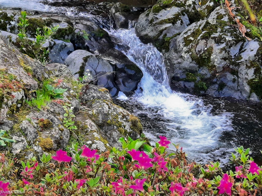 Ribeira dos Caldeires