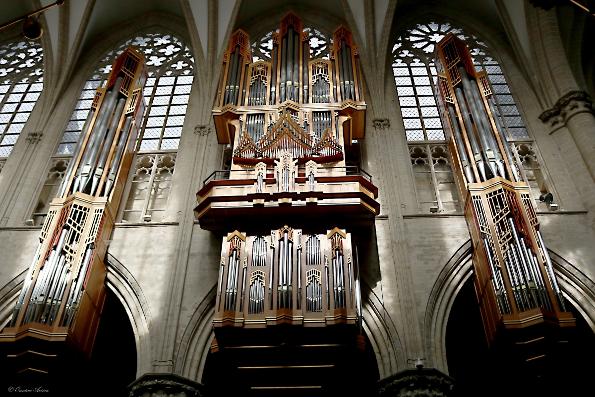 rgano Cathdrale des saints Michel et Gudule