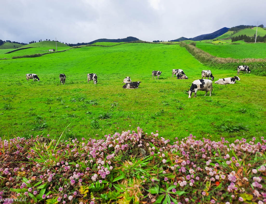 PAISAJE RURAL