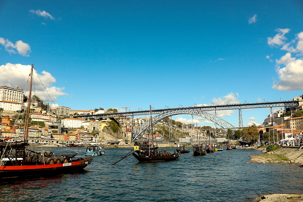 Puente Luis I desde Gaia