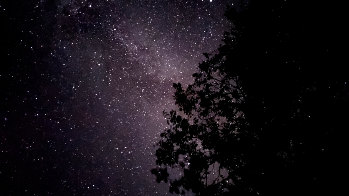 Noche de verano