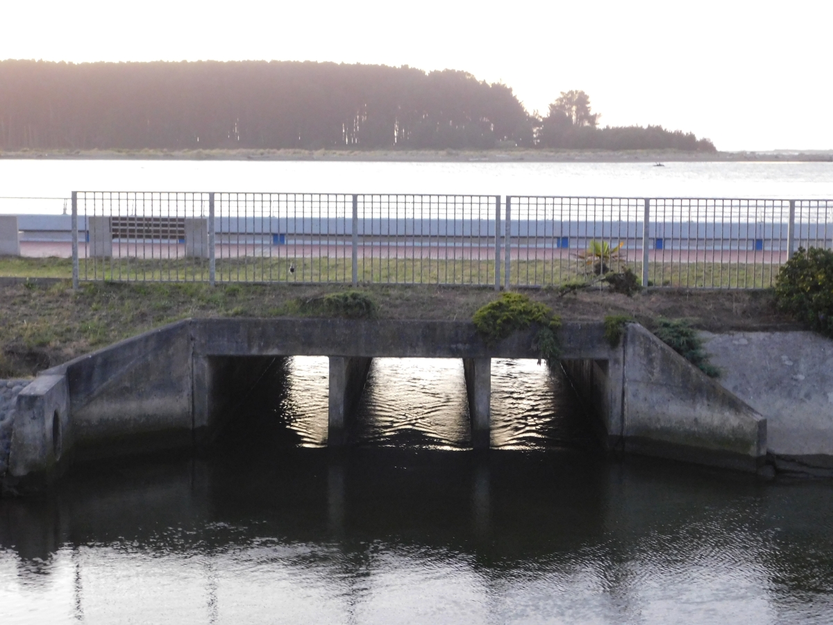 Costanera de Puerto Saavedra 1