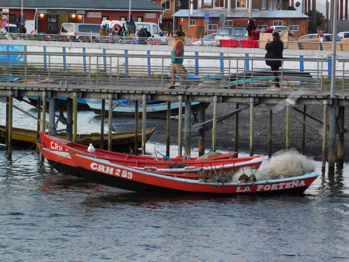 Costanera de Puerto Saavedra 