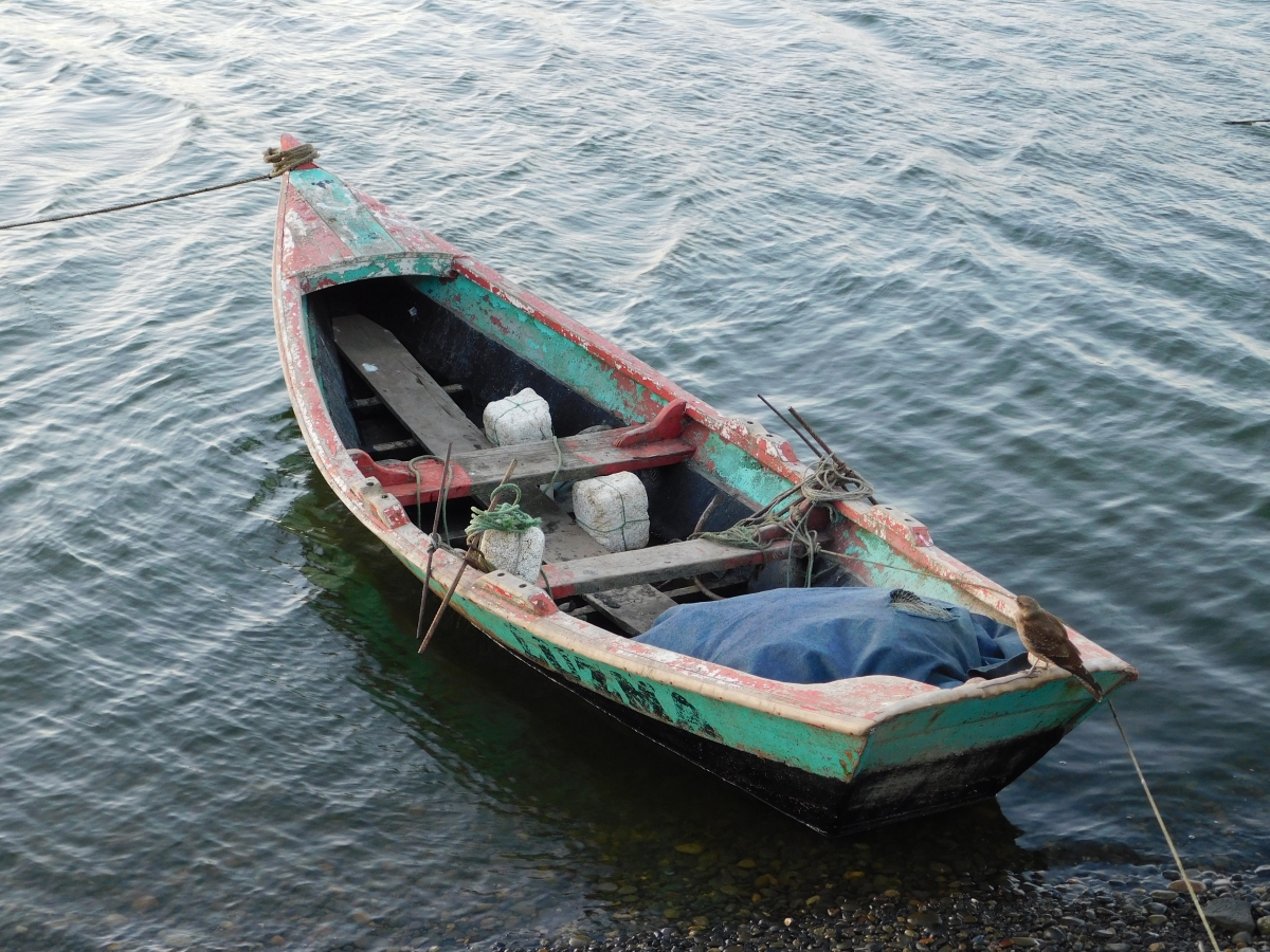 Costanera de Puerto Saavedra 1