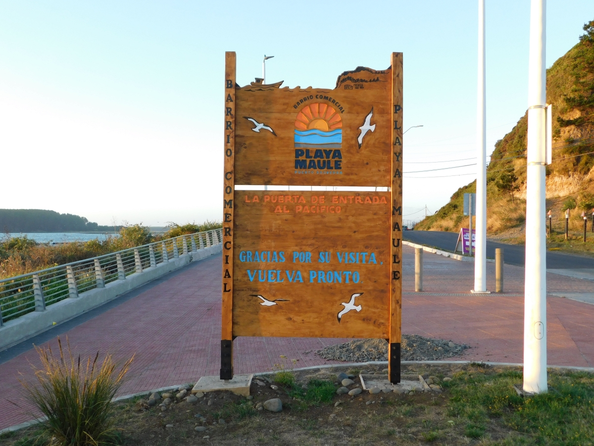 Costanera de Puerto Saavedra 2