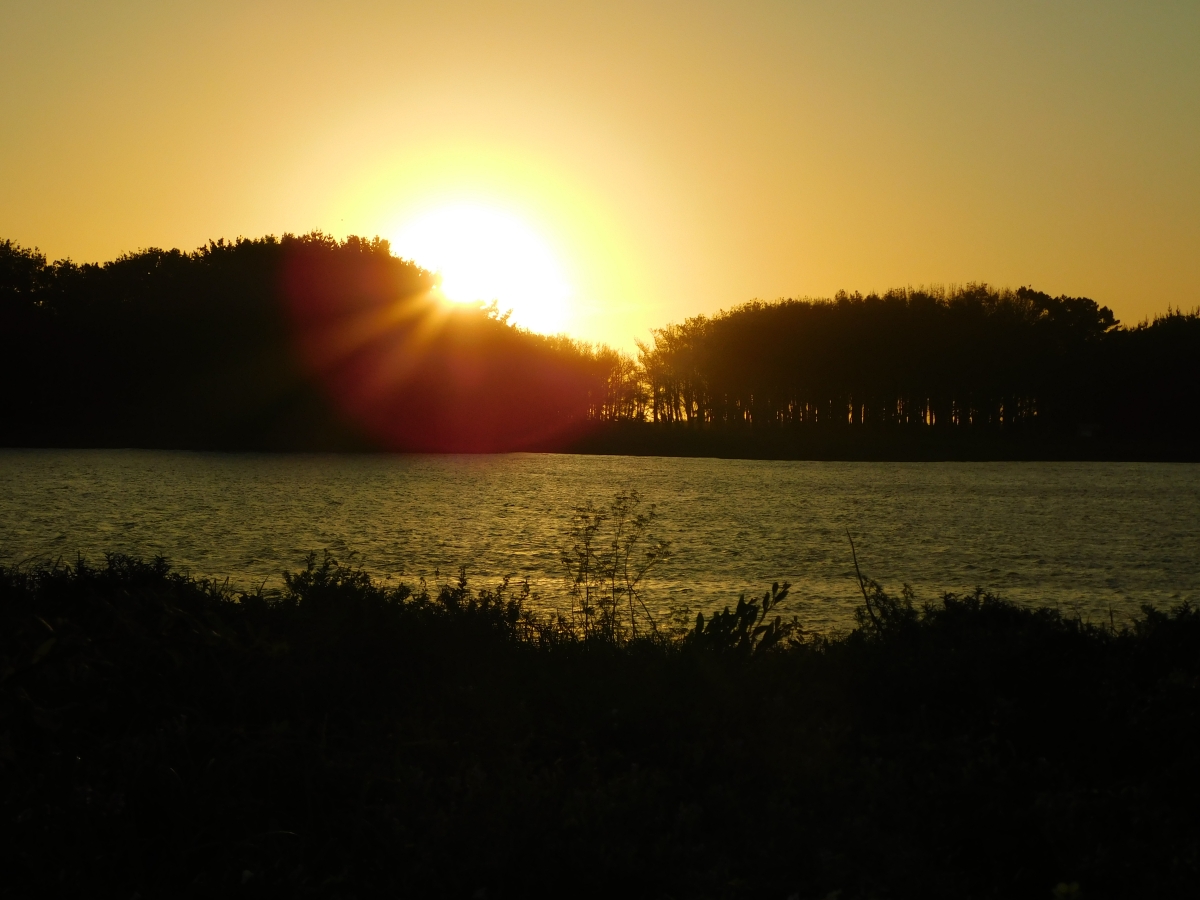 Costanera de Puerto Saavedra 3