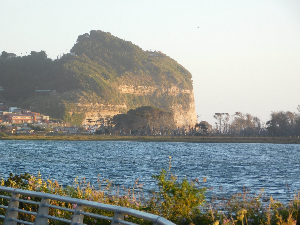 Costanera de Puerto Saavedra 2