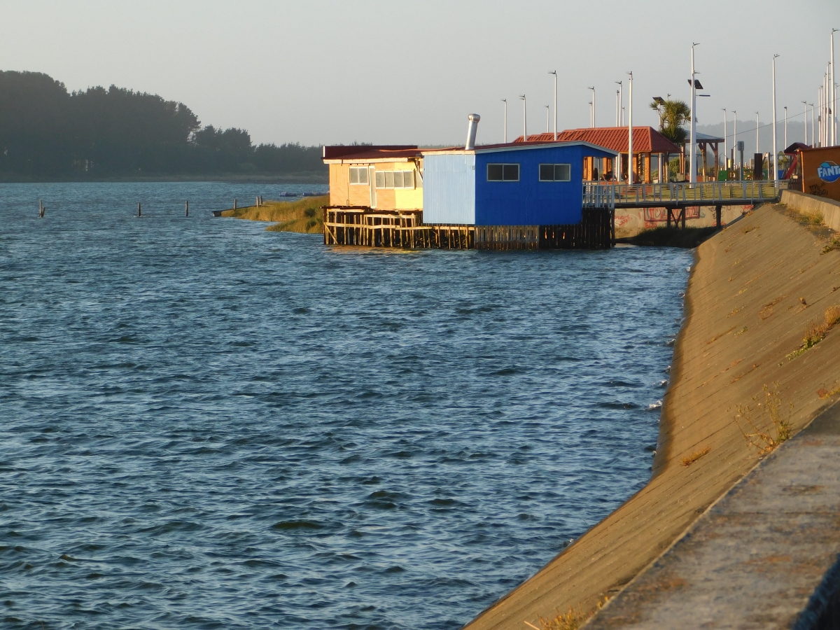 Costanera de Puerto Saavedra 3