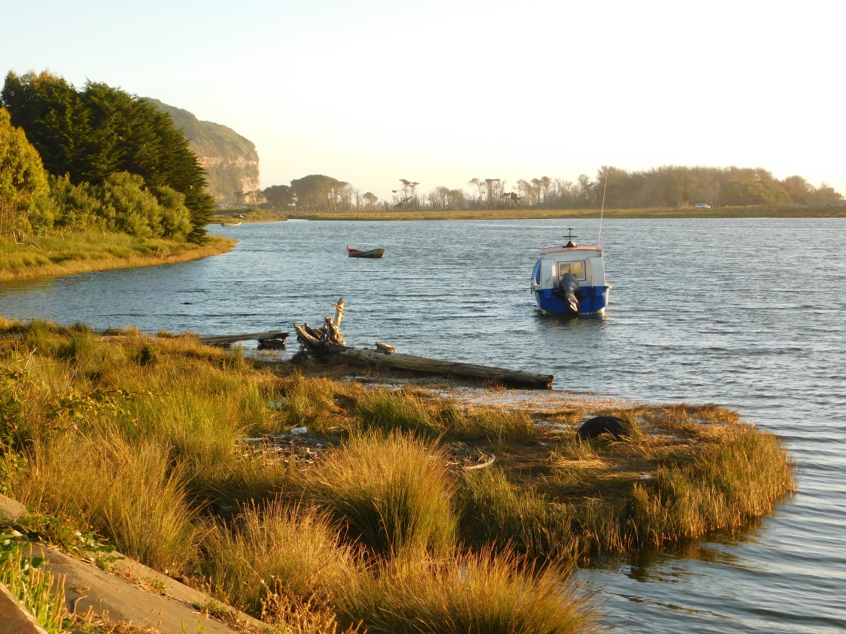 Costanera de Puerto Saavedra 