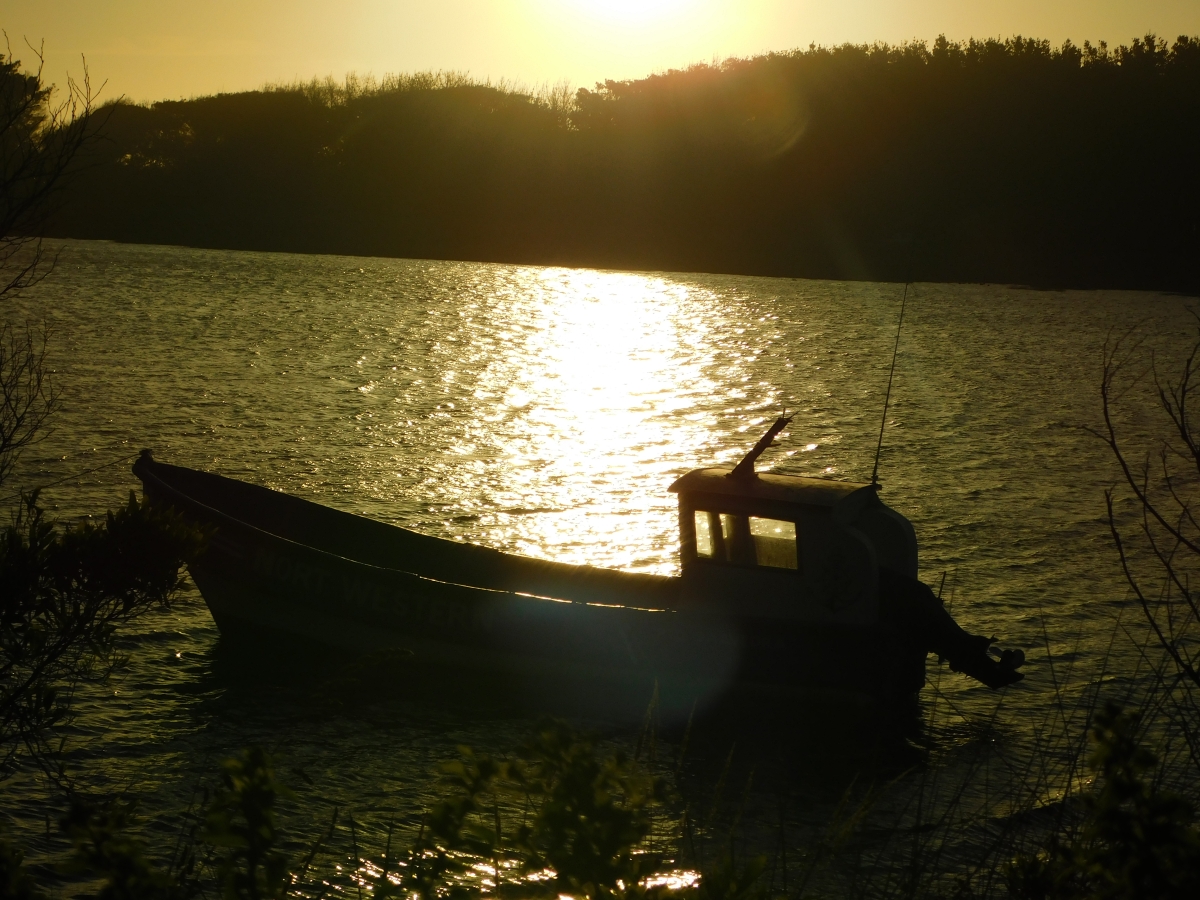 Costanera de Puerto Saavedra 1