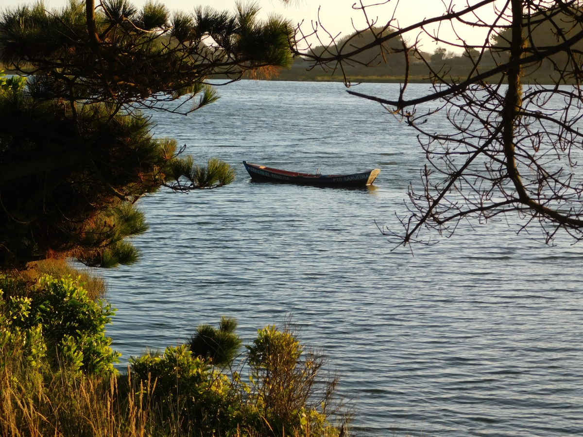 Costanera de Puerto Saavedra 3