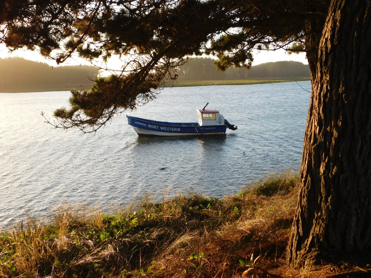 Costanera de Puerto Saavedra 