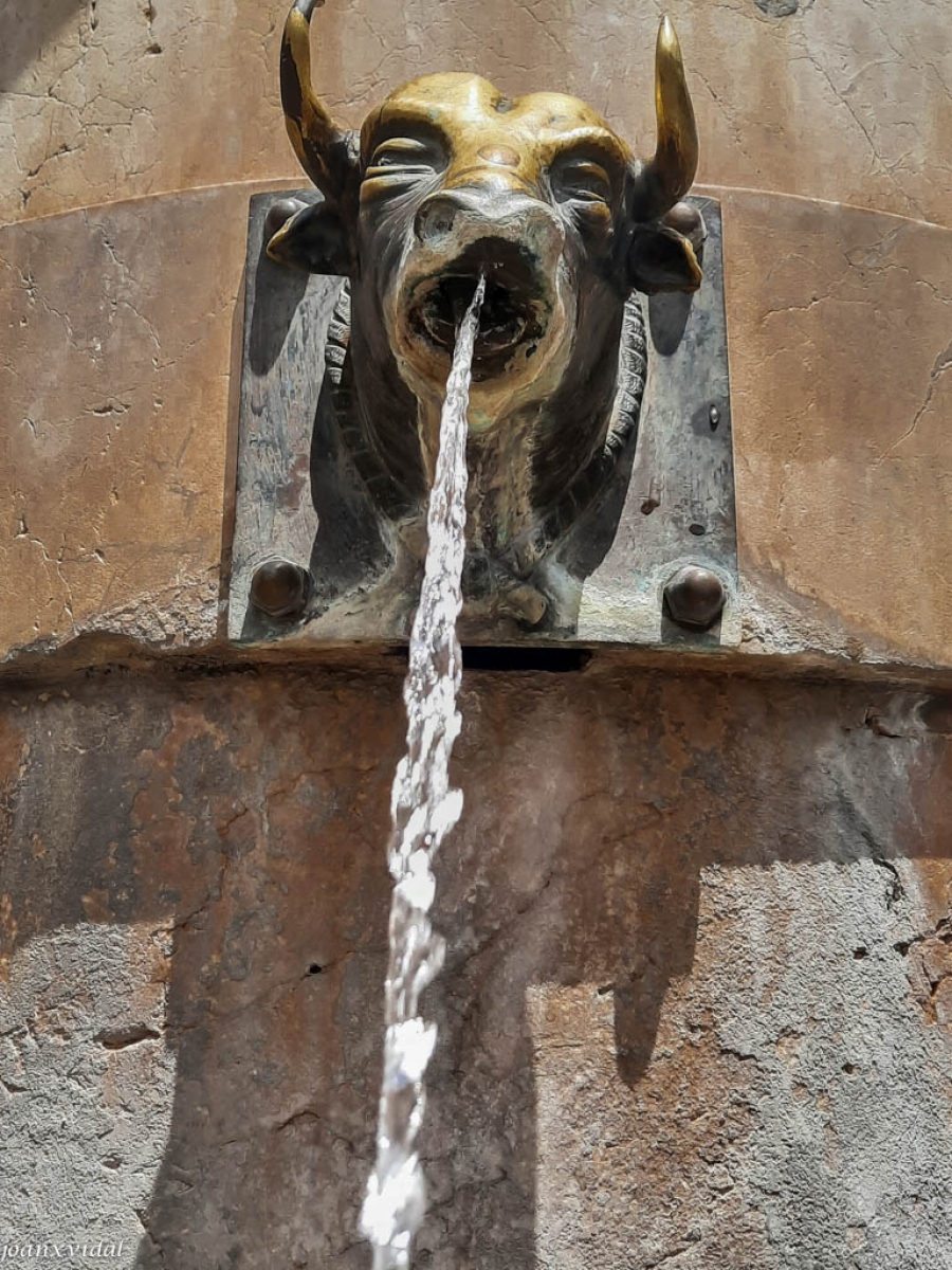 DETALLE FUENTE DEL TORICO