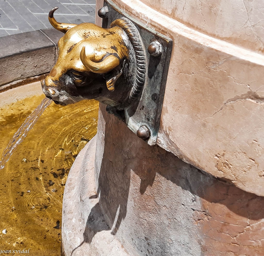 DETALLE FUENTE DEL TORICO