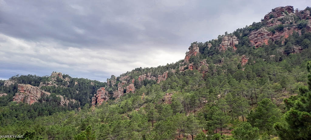 PINARES DE RODENO