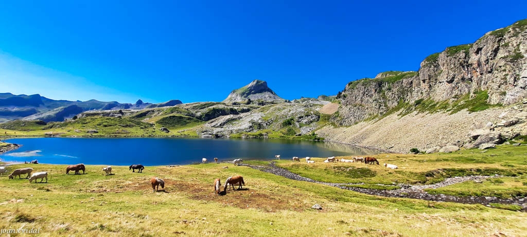 LLAC DE ROUMASSOT