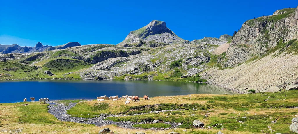 LLAC DE ROUMASSOT