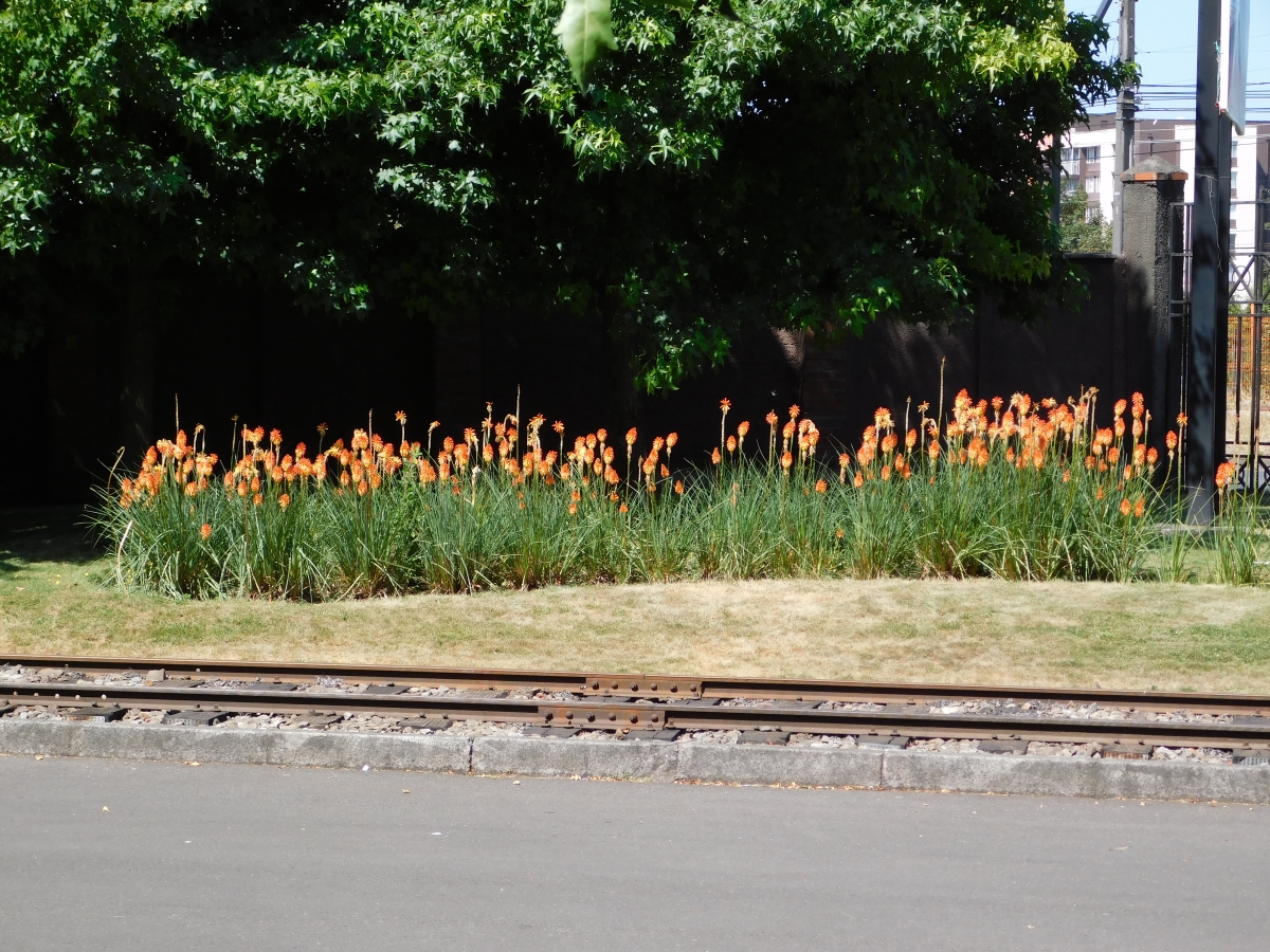 Museo ferroviario 