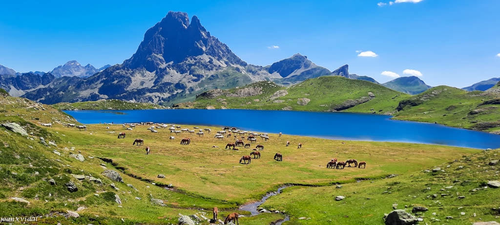 PASTURA AL LLAC GENTAU