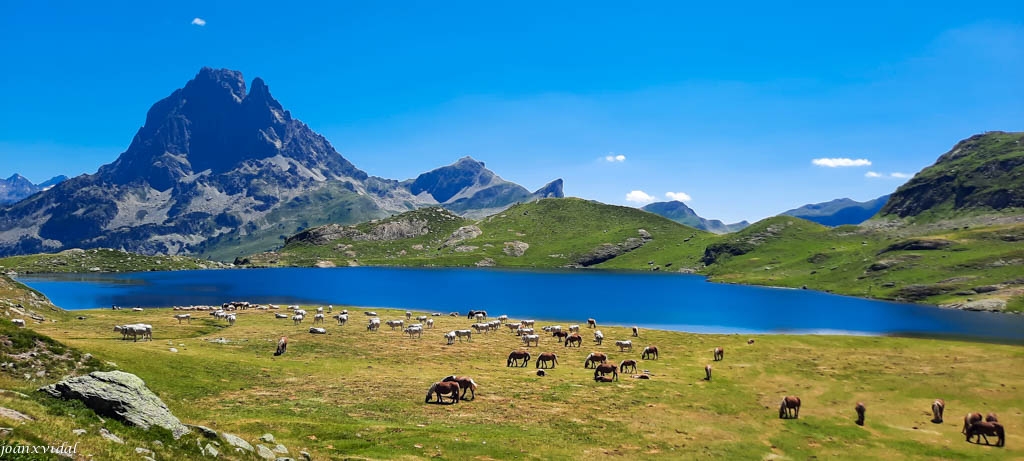 PASTURA AL LLAC GENTAU