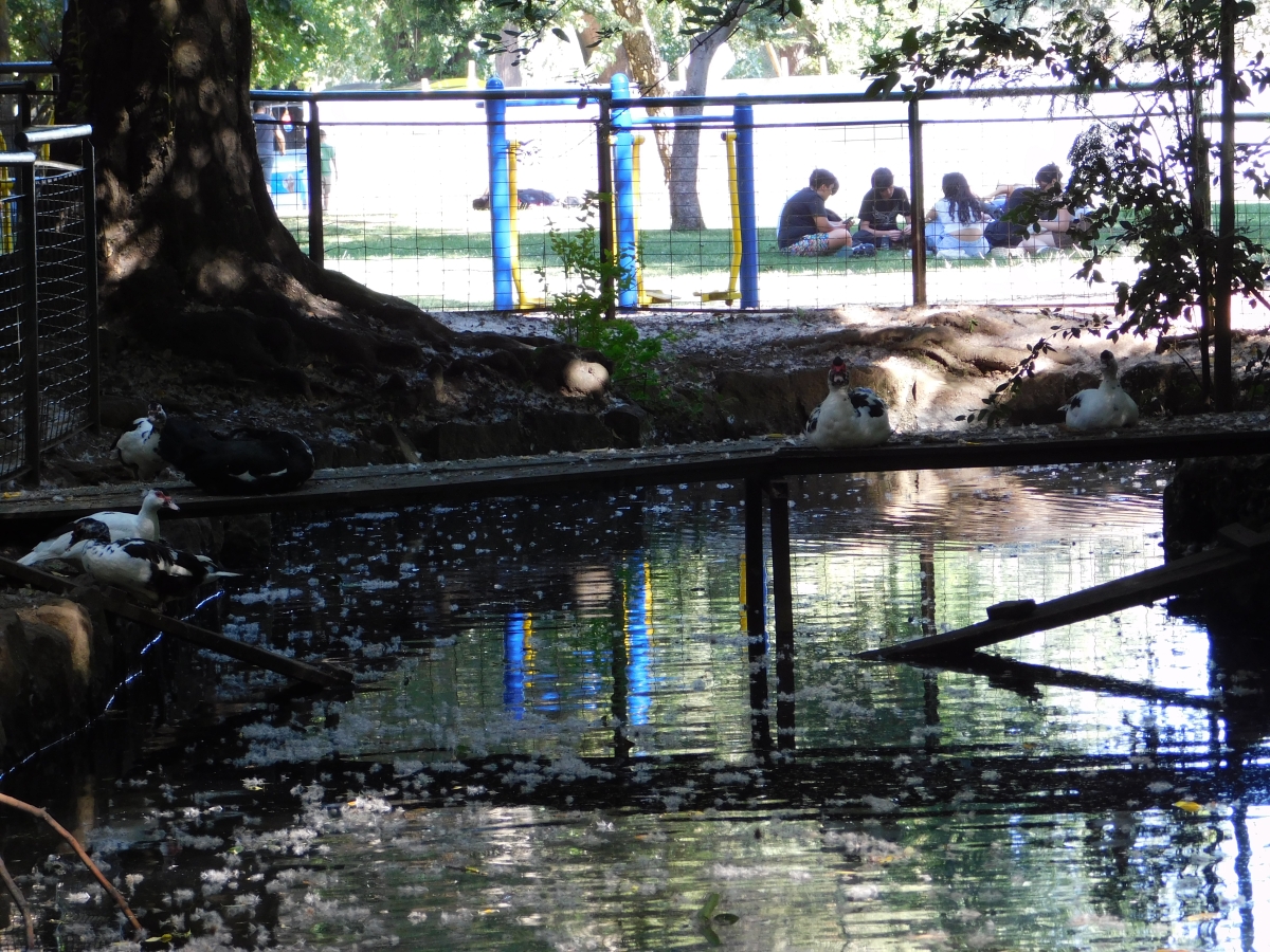 Parque estadio Germn Beker 