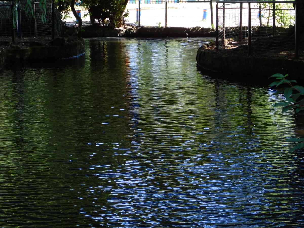 Parque estadio Germn Beker 