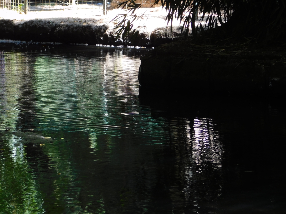 Parque estadio Germn Beker 2