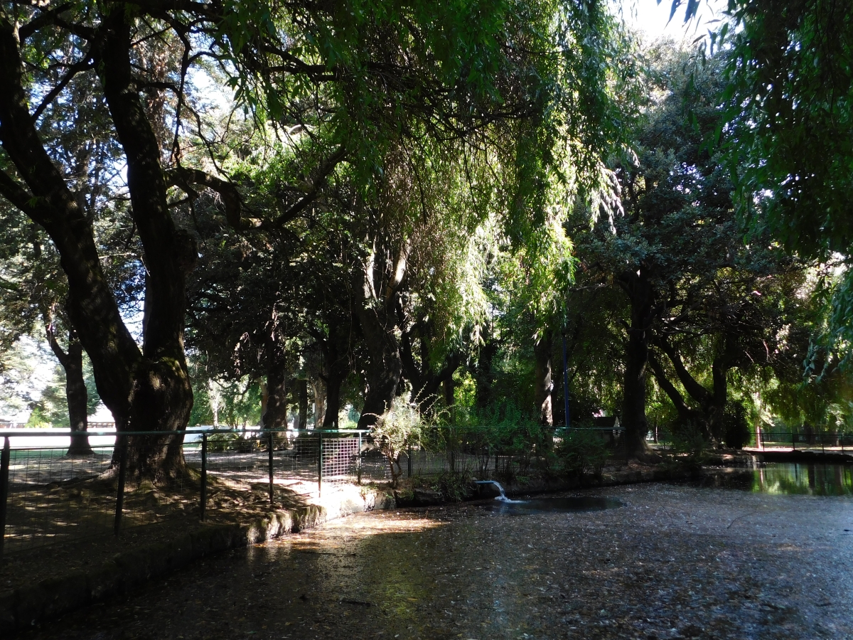 Parque estadio Germn Beker 2