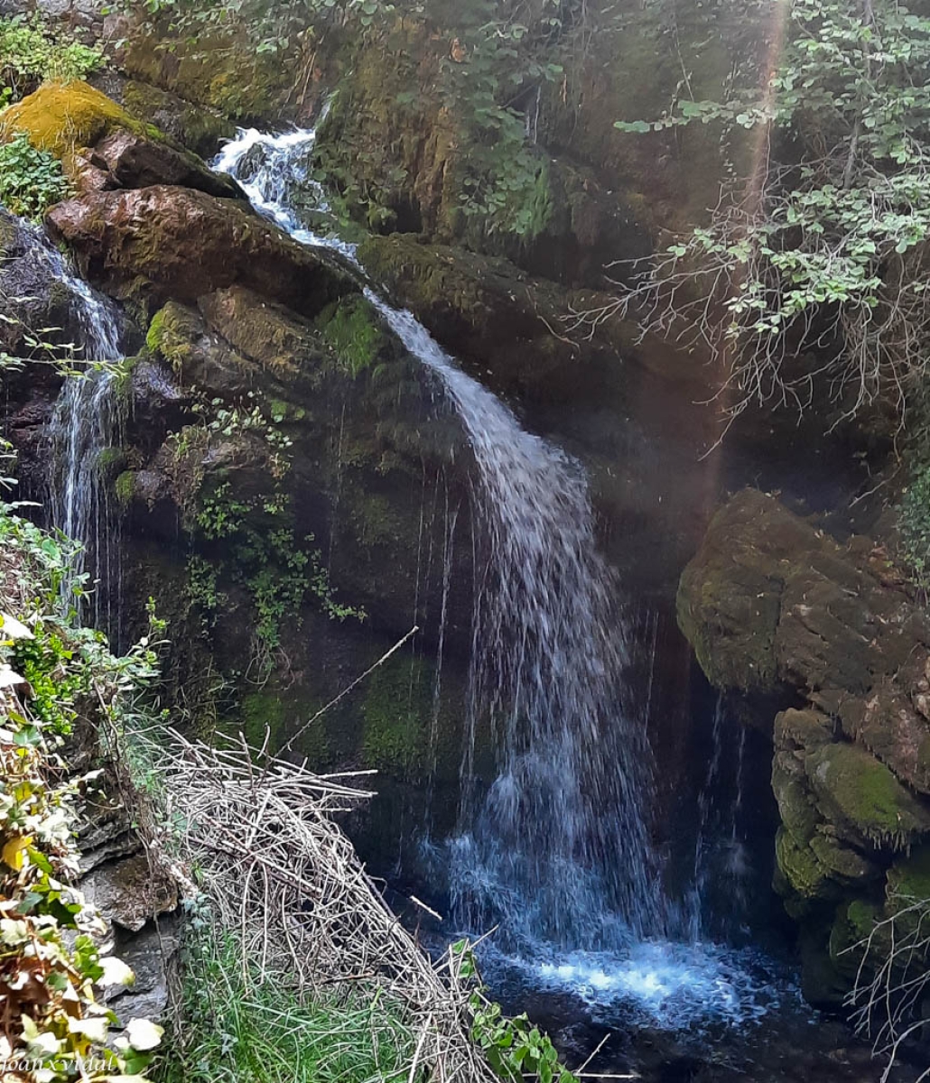 FONTS DEL LLOBREGAT