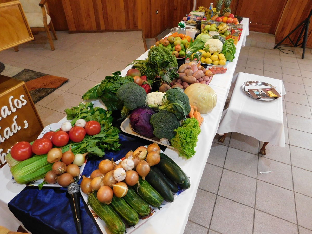 Mesn de frutas y verduras 