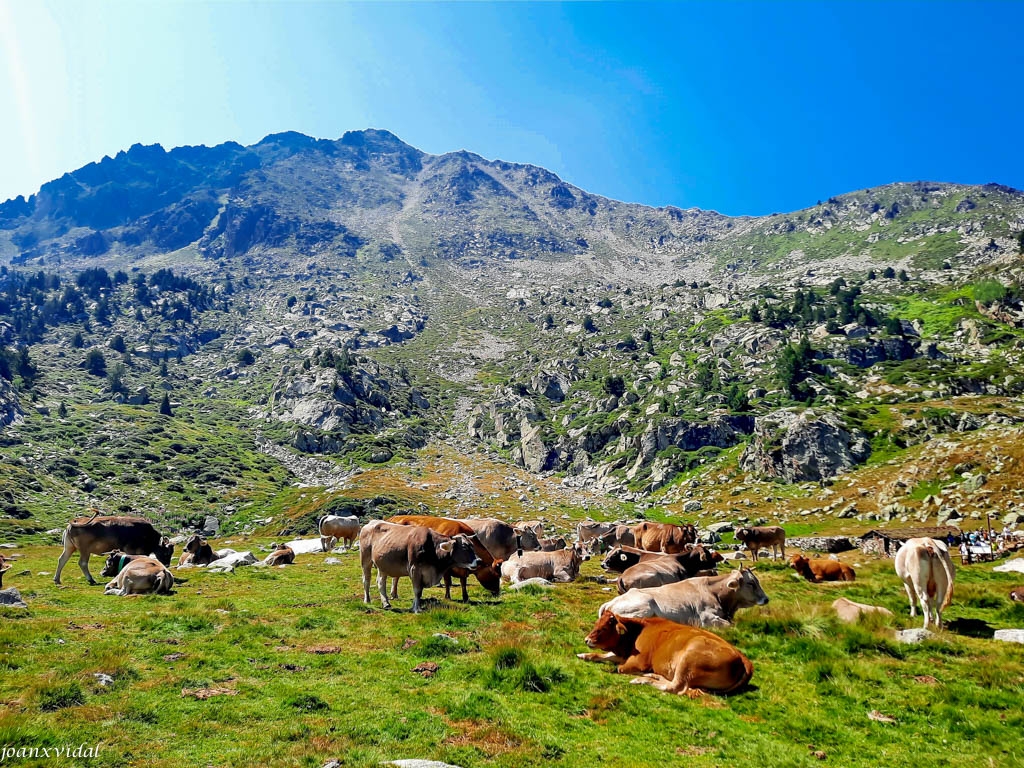 LLAC DE CUBIL