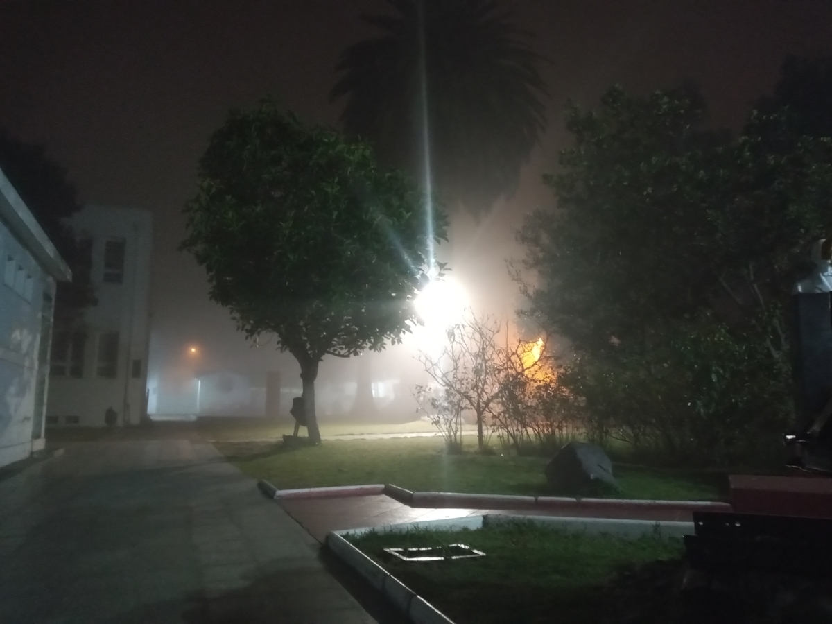 Da de neblina 1