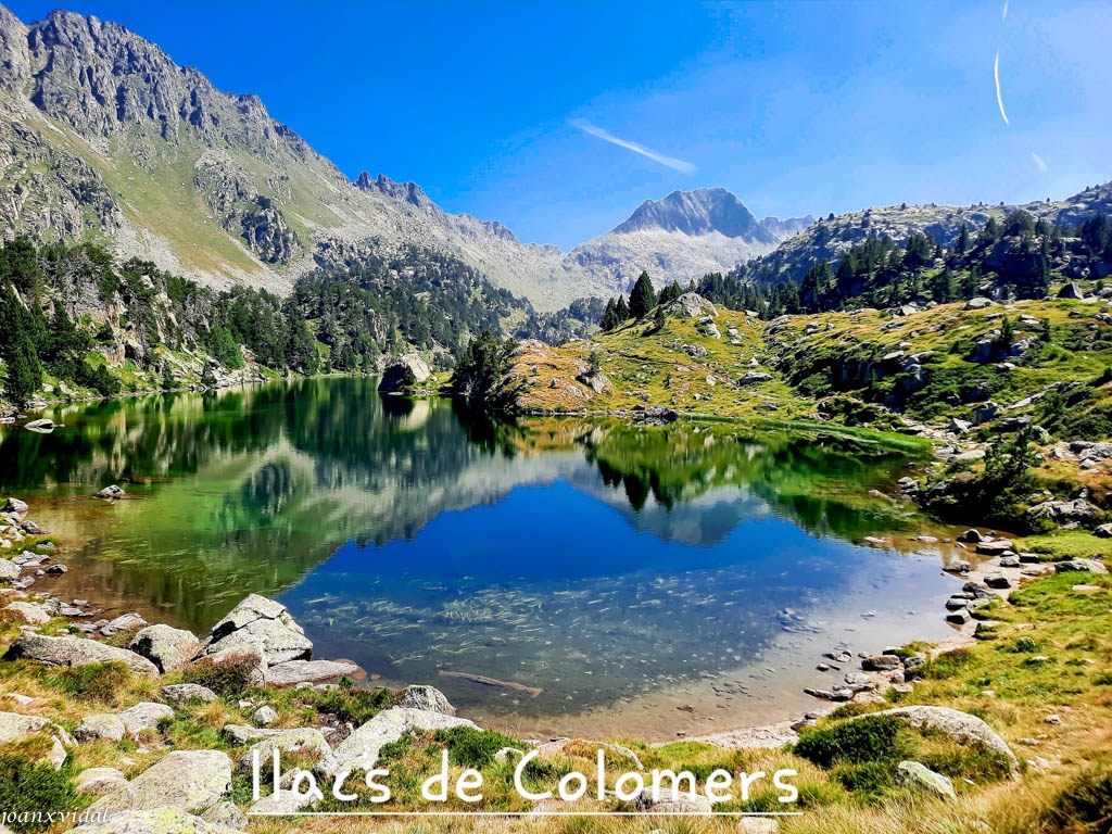 ESTANYS DE COLOMERS