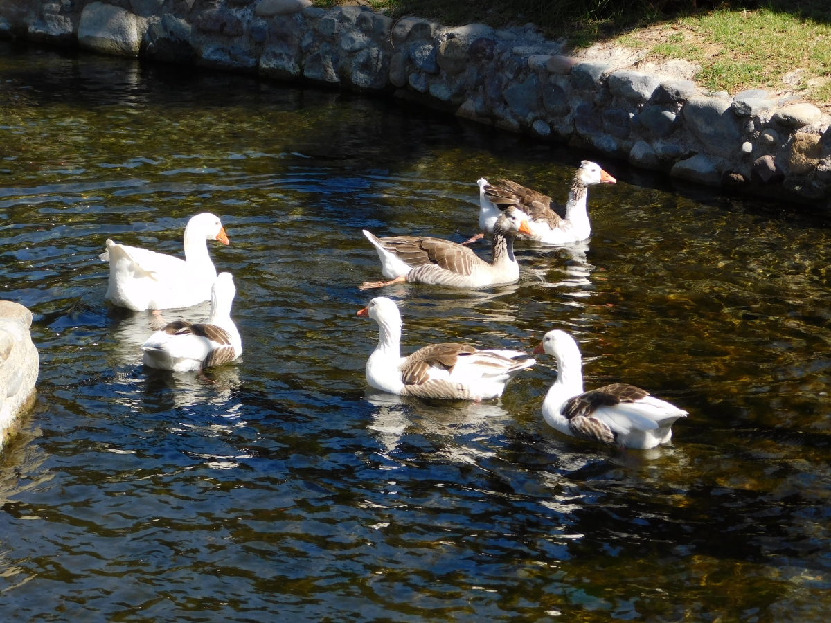 Paseo al valle 