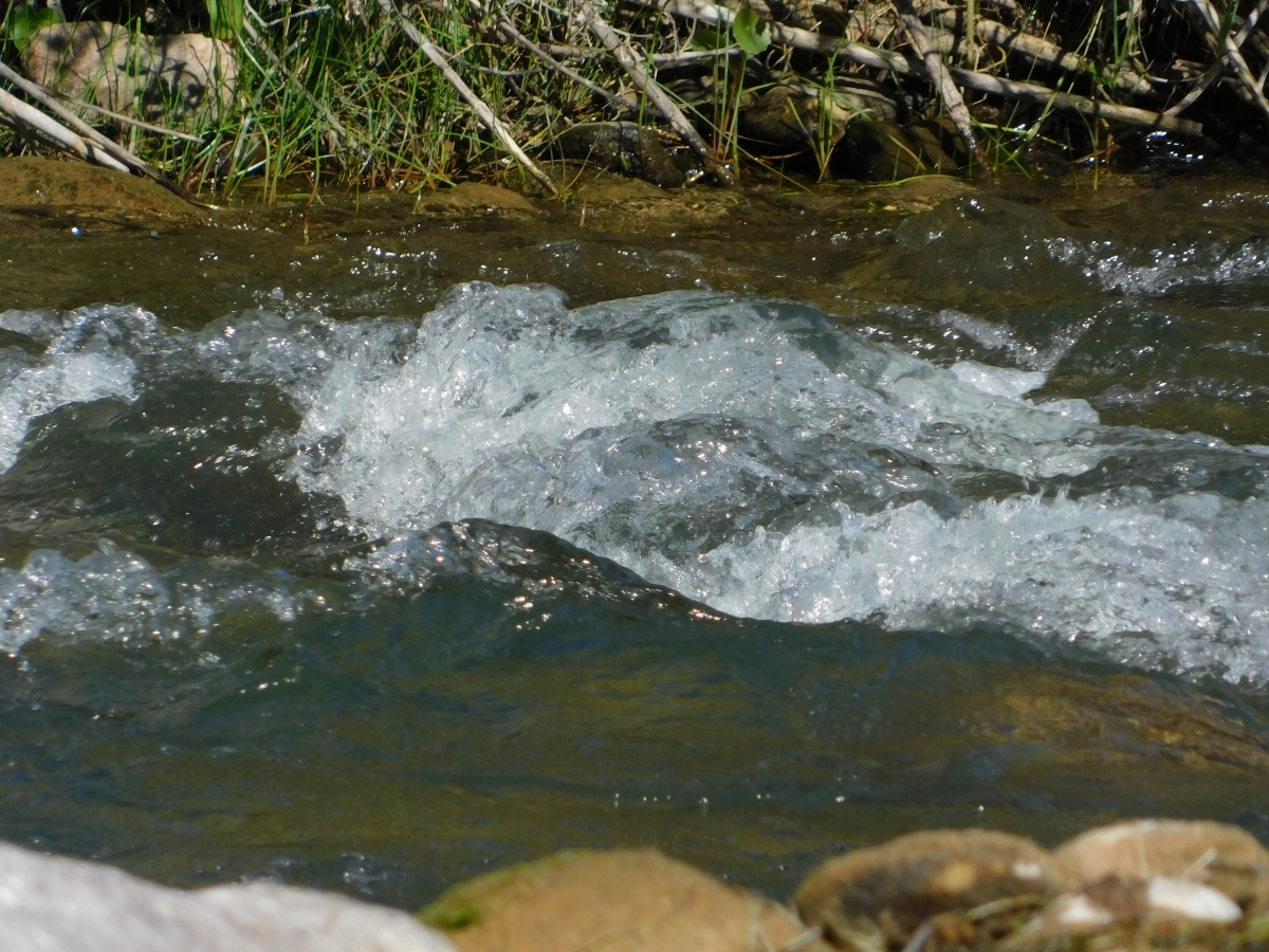 Paseo al valle 1