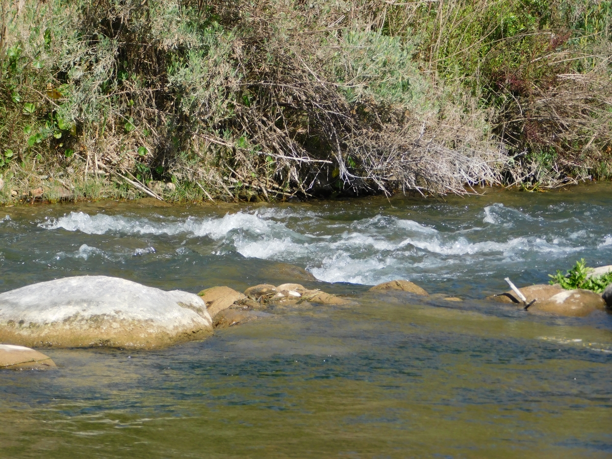 Paseo al valle 2