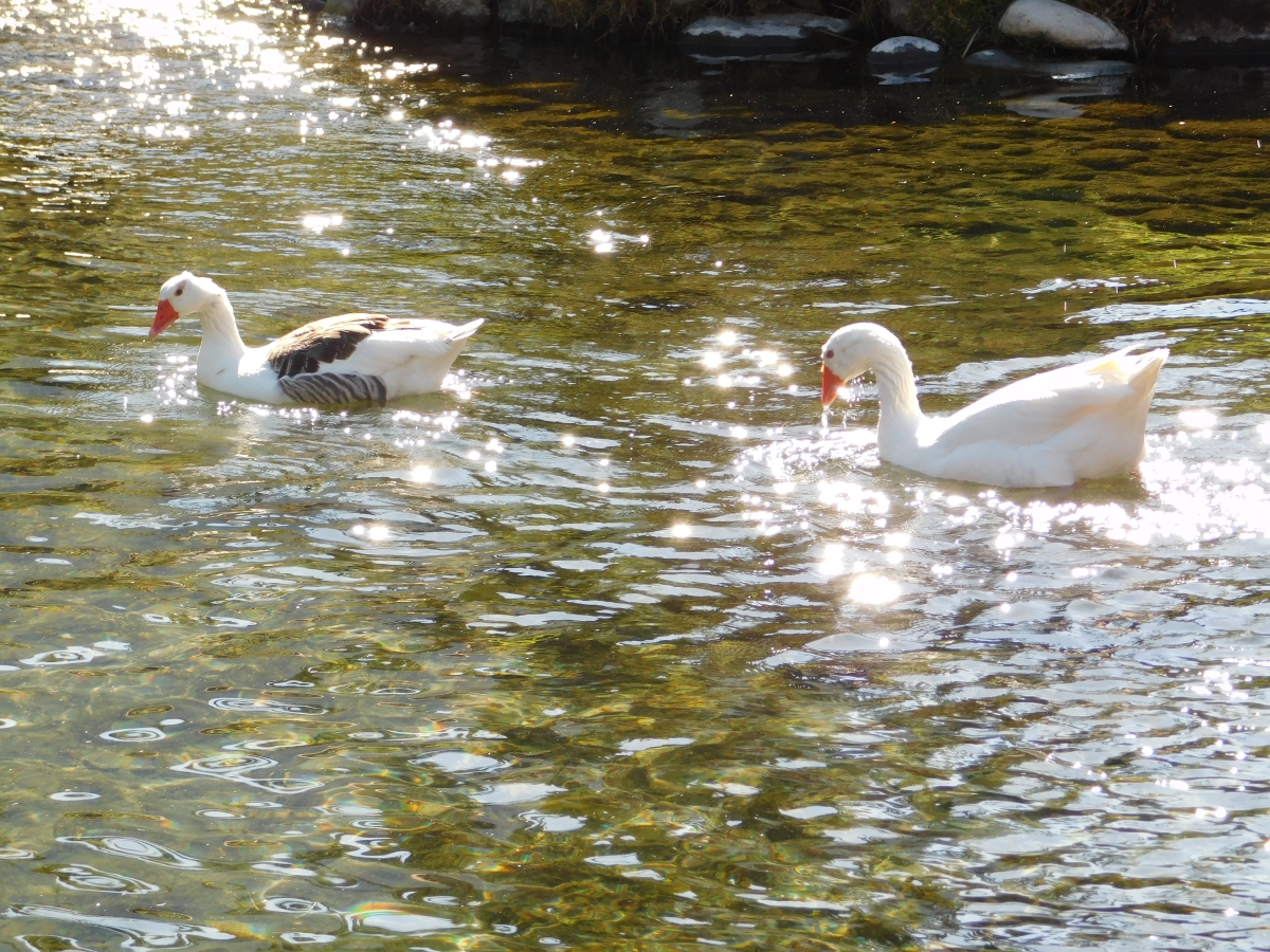 Paseo al valle 