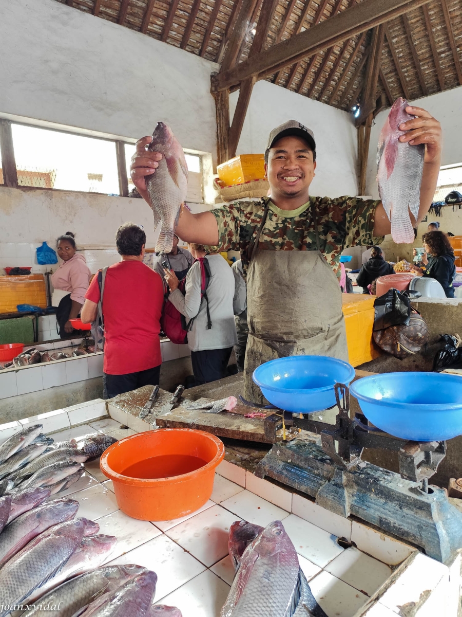 MERCAT DEL PEIX