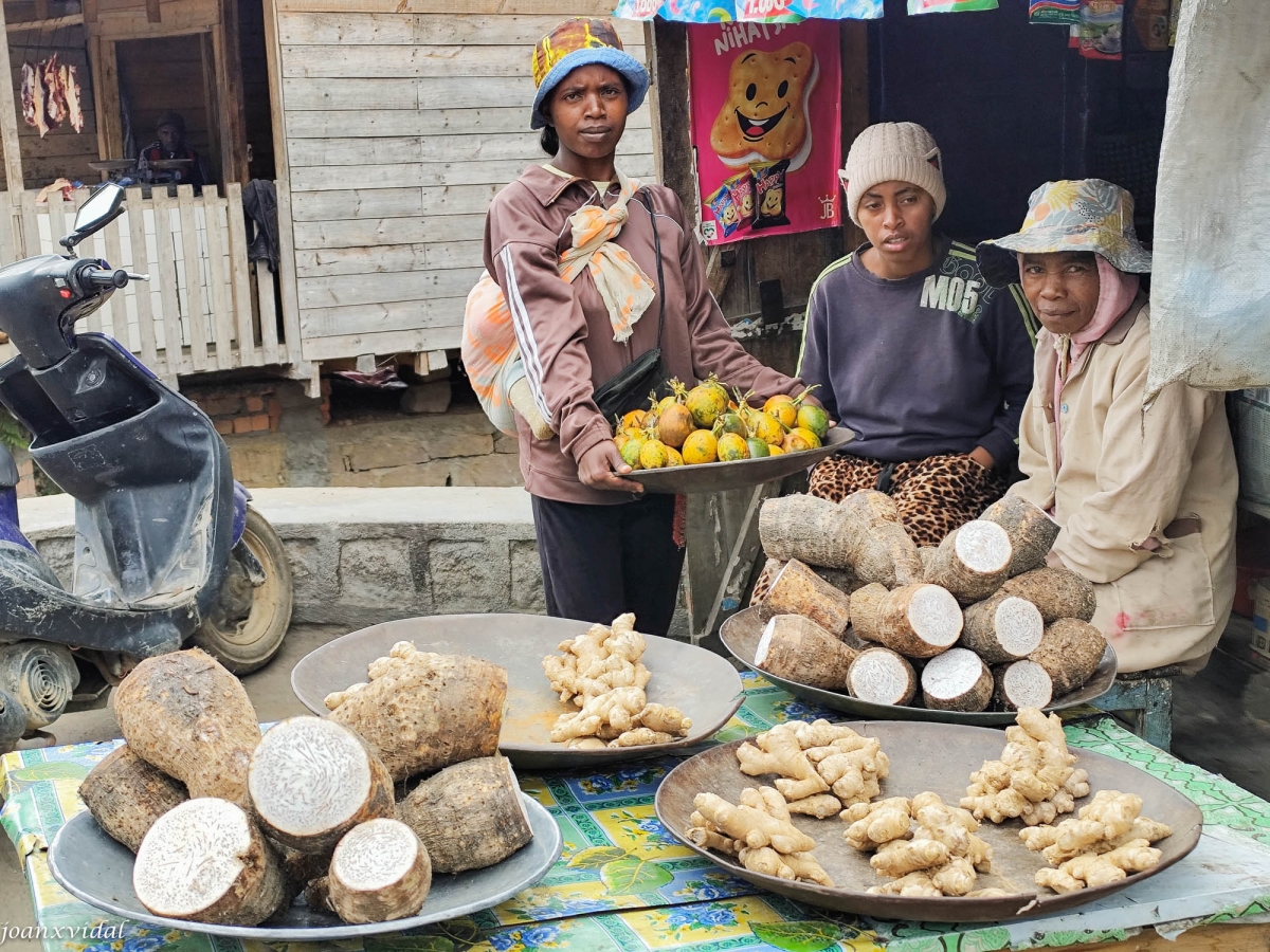 MANDIOCA I GINGEBRE