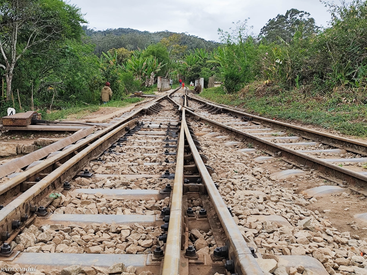 VIES DEL TREN