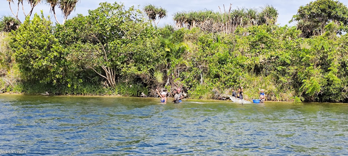 CANAL DE PANGALANES