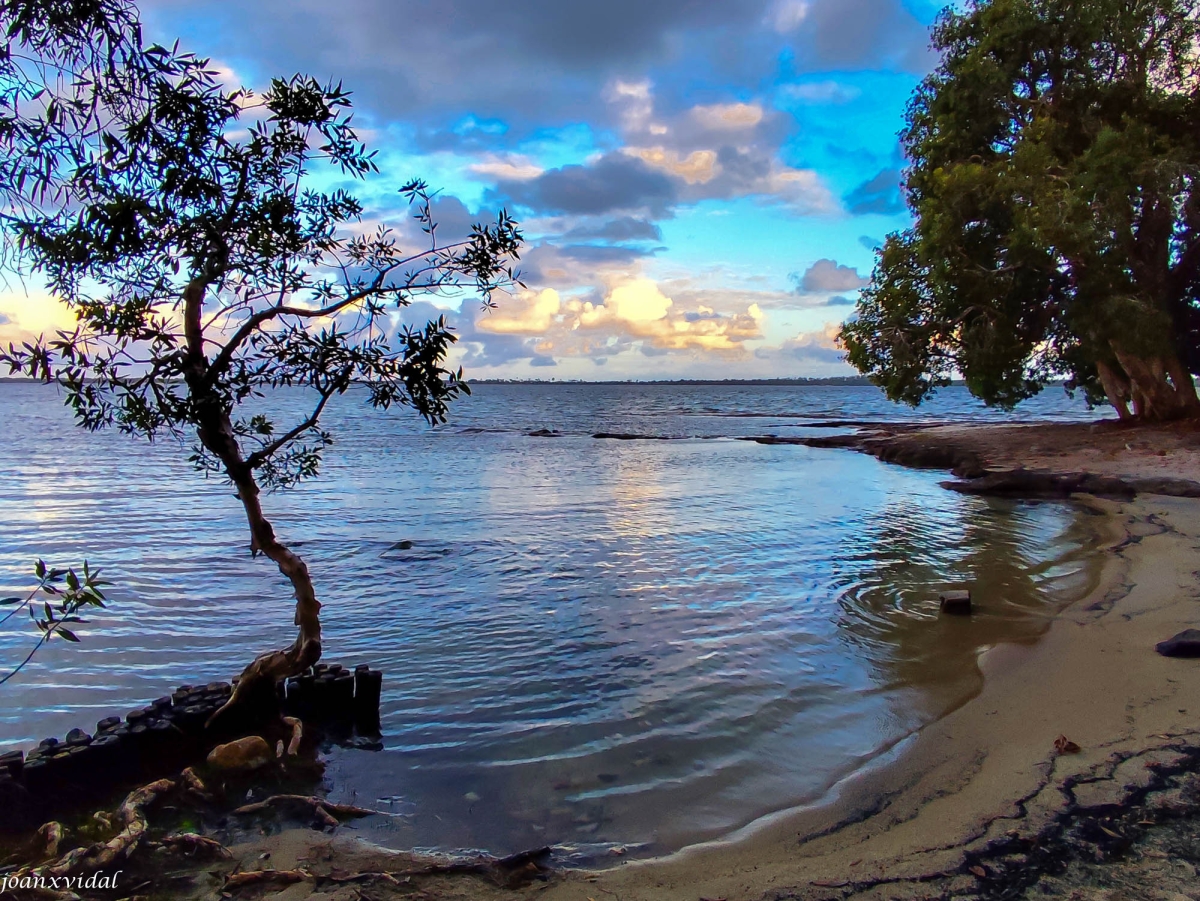 PALMARIUM BEACH